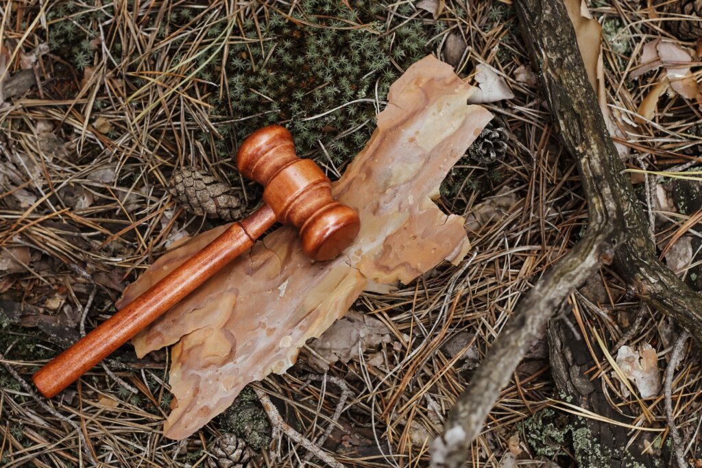 A wooden gavel resting on tree bark and pine needles, symbolizing arborist expert witness services for legal and property disputes.