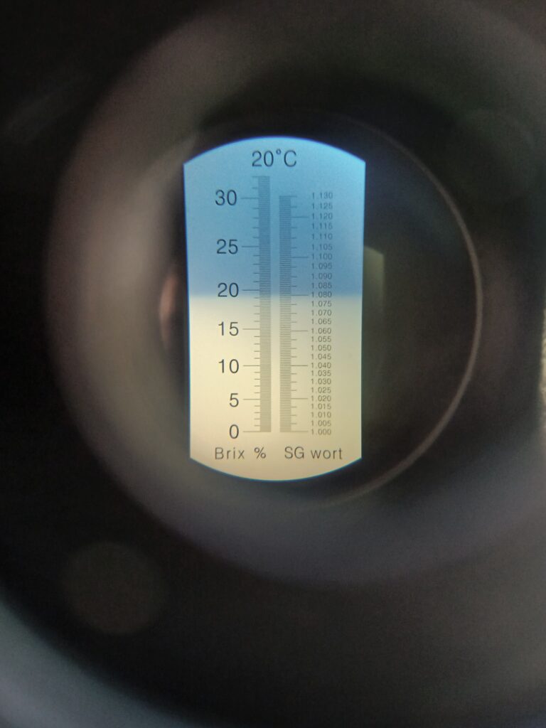 Close-up view through a handheld refractometer showing a Brix reading of approximately 20 percent, indicating strong tree photosynthetic activity and high sugar content in leaf sap.
