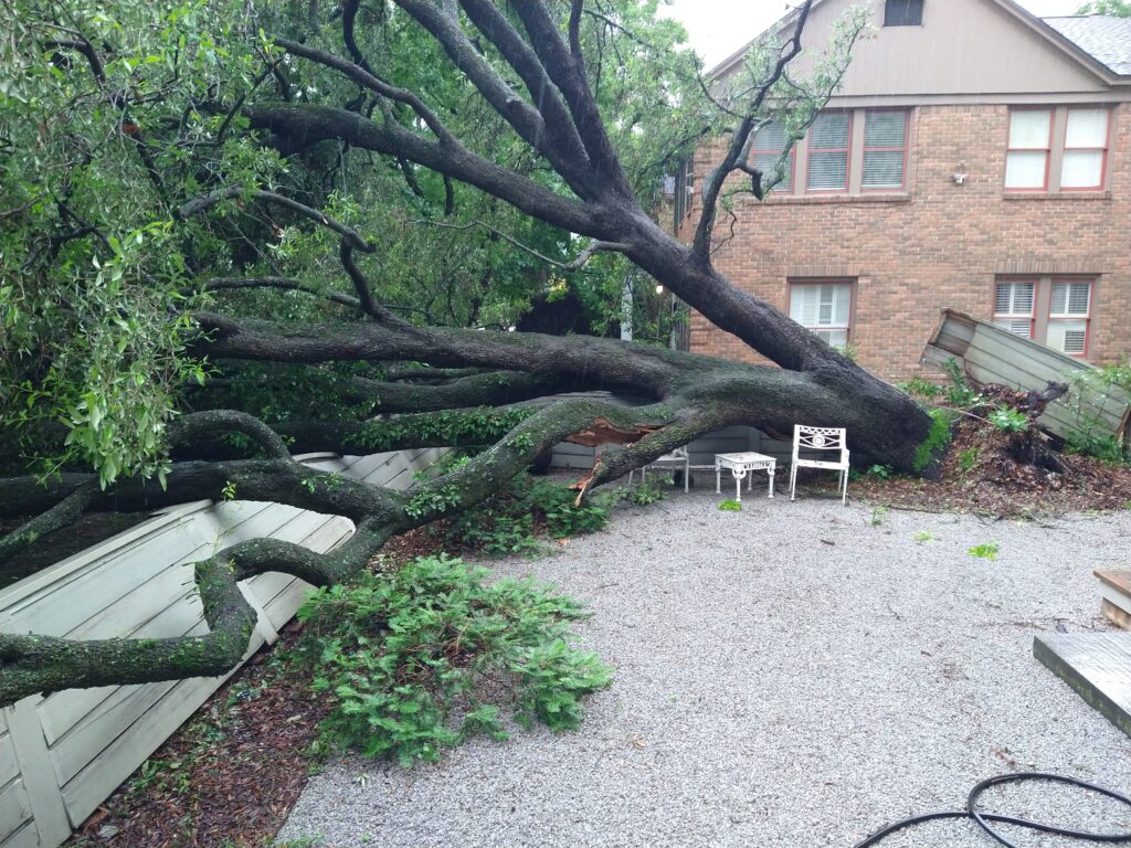 Large mature tree uprooted beside a home after severe weather, illustrating the importance of tree risk assessment and hurricane storm preparation.